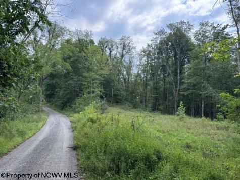 0 Massie Hollow Road Rivesville WV 26588