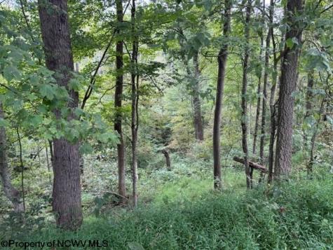 0 Massie Hollow Road Rivesville WV 26588