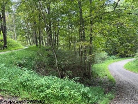 0 Massie Hollow Road Rivesville WV 26588