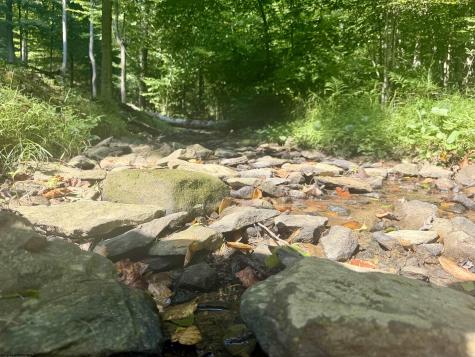 1845 W Whitewater Parkway Bruceton Mills WV 26525