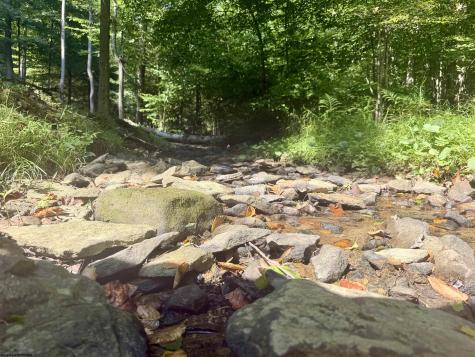 1845 W Whitewater Parkway Bruceton Mills WV 26525