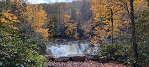 1845 W Whitewater Parkway Bruceton Mills WV 26525