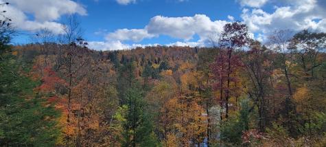 1845 W Whitewater Parkway Bruceton Mills WV 26525