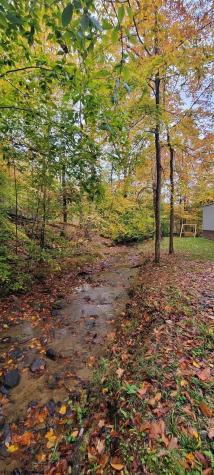 1845 W Whitewater Parkway Bruceton Mills WV 26525