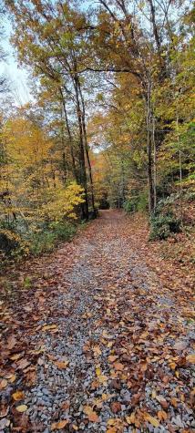 1845 W Whitewater Parkway Bruceton Mills WV 26525