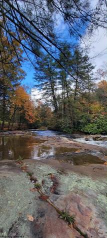 1845 W Whitewater Parkway Bruceton Mills WV 26525
