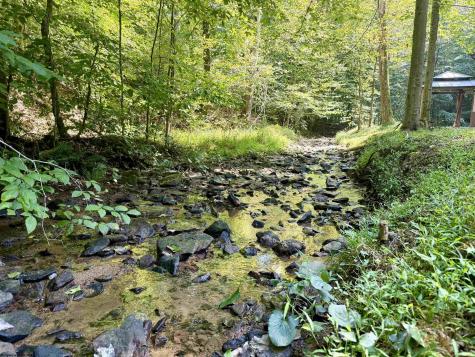 1845 W Whitewater Parkway Bruceton Mills WV 26525