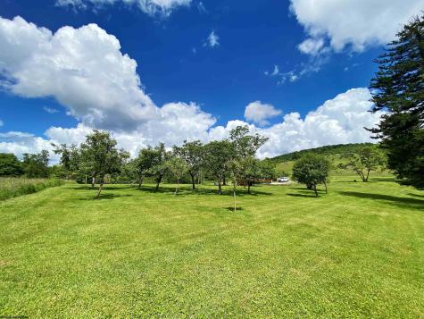 8816 Turkey Bone Road Pickens WV 26230