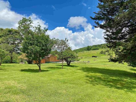 8816 Turkey Bone Road Pickens WV 26230