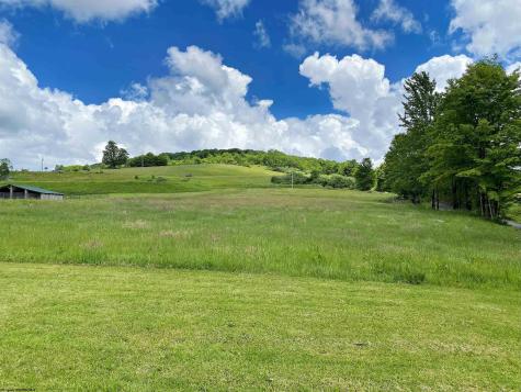 8816 Turkey Bone Road Pickens WV 26230