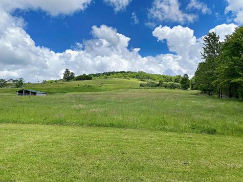8816 Turkey Bone Road Pickens WV 26230