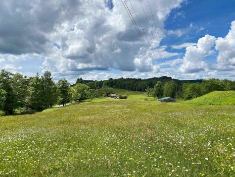 8816 Turkey Bone Road Pickens WV 26230