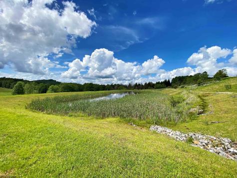 8816 Turkey Bone Road Pickens WV 26230