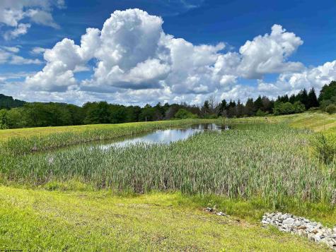 8816 Turkey Bone Road Pickens WV 26230