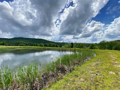 8816 Turkey Bone Road Pickens WV 26230