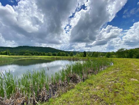8816 Turkey Bone Road Pickens WV 26230