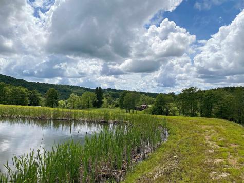 8816 Turkey Bone Road Pickens WV 26230