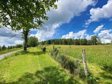8816 Turkey Bone Road Pickens WV 26230