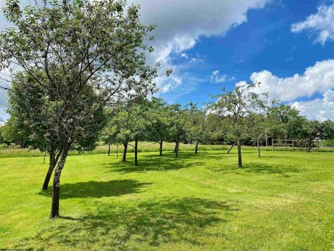 8816 Turkey Bone Road Pickens WV 26230