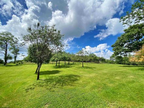 8816 Turkey Bone Road Pickens WV 26230