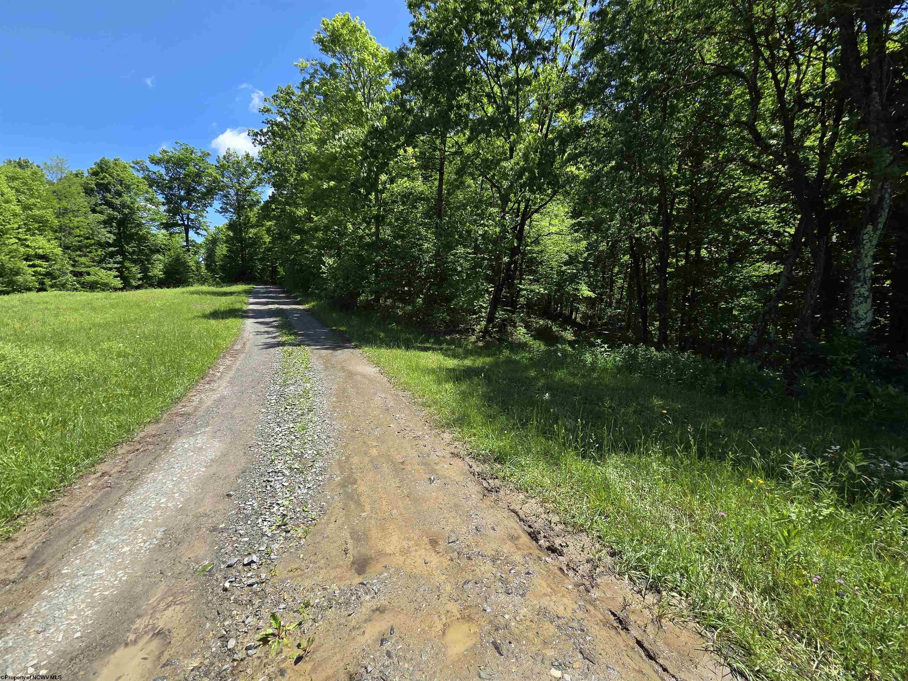 1271 Big Mill Run Road Parsons WV 26287