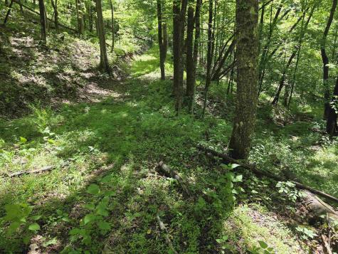 1271 Big Mill Run Road Parsons WV 26287