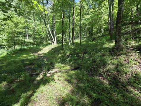 1271 Big Mill Run Road Parsons WV 26287