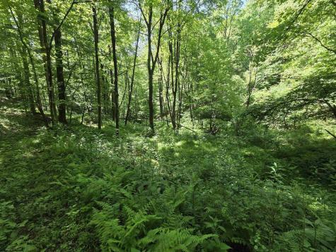 1271 Big Mill Run Road Parsons WV 26287