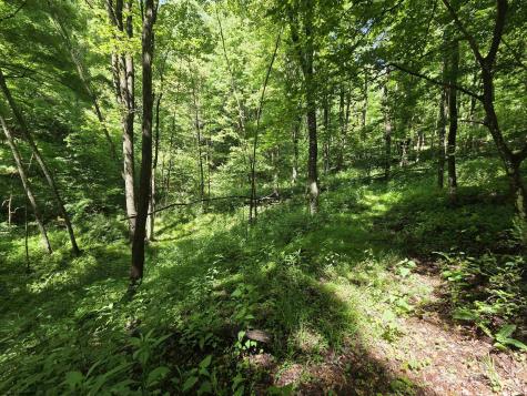 1271 Big Mill Run Road Parsons WV 26287