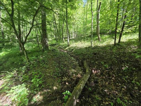 1271 Big Mill Run Road Parsons WV 26287