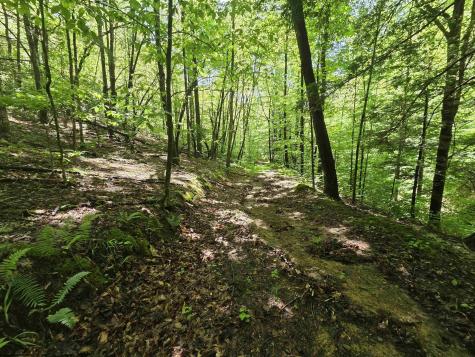 1271 Big Mill Run Road Parsons WV 26287
