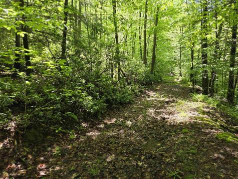 1271 Big Mill Run Road Parsons WV 26287