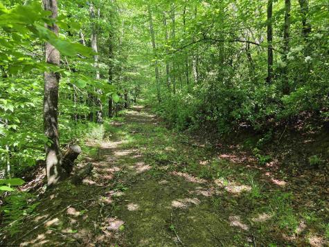 1271 Big Mill Run Road Parsons WV 26287