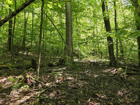 1271 Big Mill Run Road Parsons WV 26287