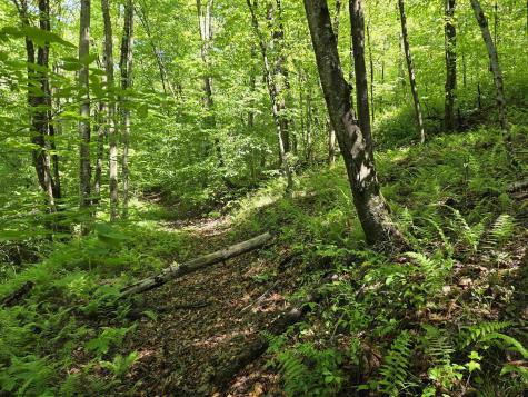 1271 Big Mill Run Road Parsons WV 26287