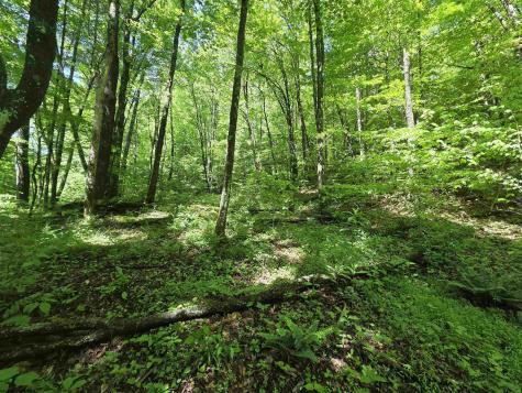 1271 Big Mill Run Road Parsons WV 26287