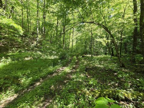 1271 Big Mill Run Road Parsons WV 26287