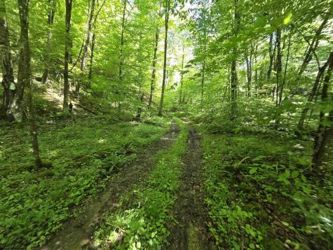 1271 Big Mill Run Road Parsons WV 26287