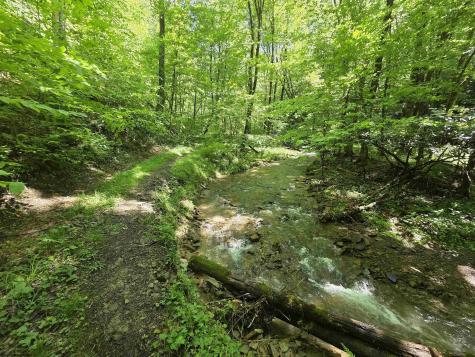 1271 Big Mill Run Road Parsons WV 26287
