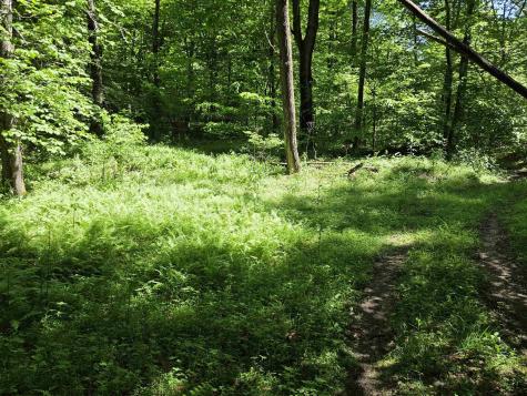 1271 Big Mill Run Road Parsons WV 26287