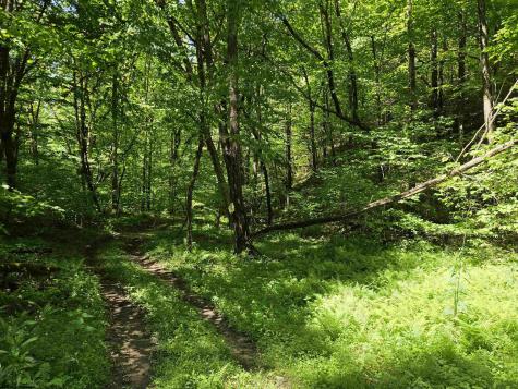 1271 Big Mill Run Road Parsons WV 26287