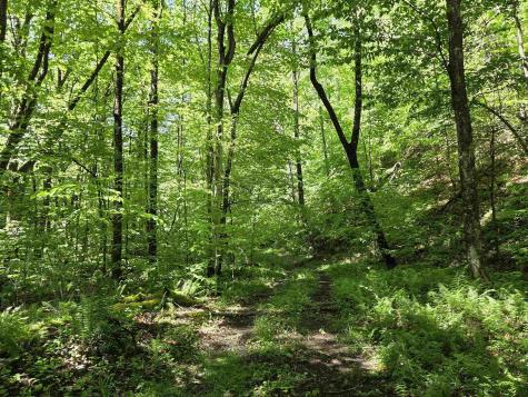 1271 Big Mill Run Road Parsons WV 26287