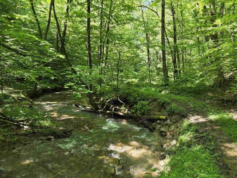1271 Big Mill Run Road Parsons WV 26287
