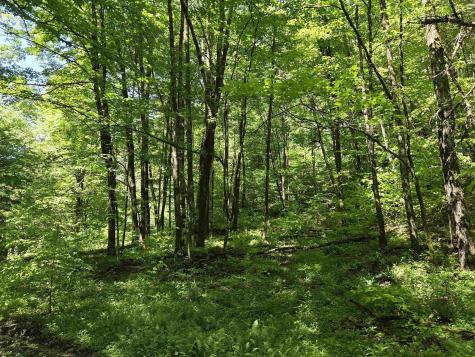 1271 Big Mill Run Road Parsons WV 26287