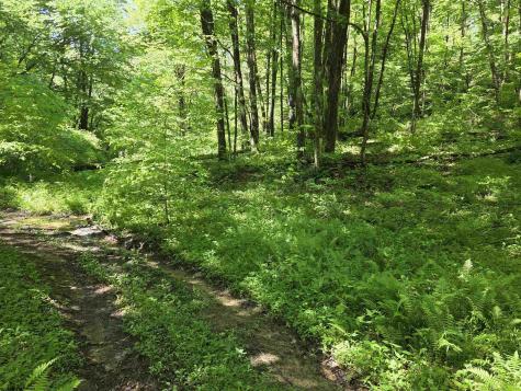 1271 Big Mill Run Road Parsons WV 26287
