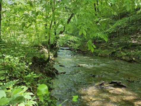 1271 Big Mill Run Road Parsons WV 26287