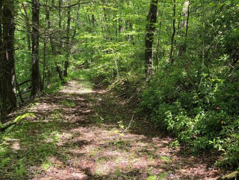 1271 Big Mill Run Road Parsons WV 26287
