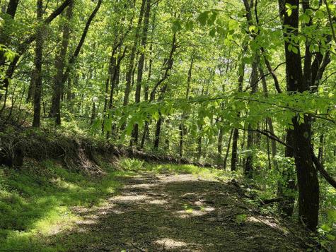 1271 Big Mill Run Road Parsons WV 26287