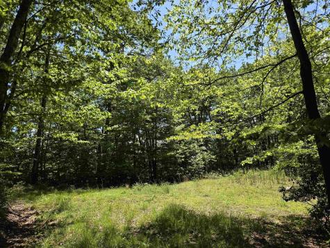 1271 Big Mill Run Road Parsons WV 26287