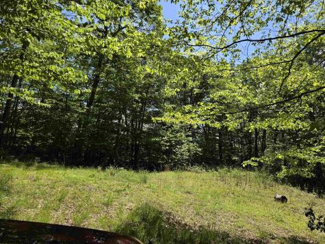 1271 Big Mill Run Road Parsons WV 26287